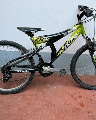Mtb 24 Atala