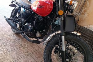 mash 250