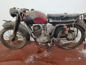 MV Agusta Altro modello - 1955