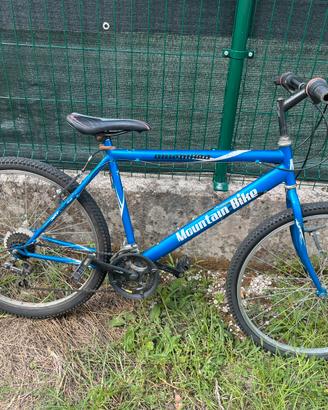 Bicicletta