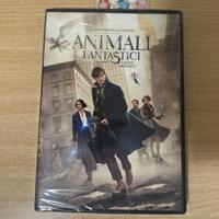 Animali Fantastici Dvd