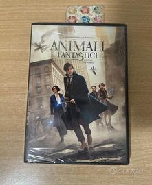 Animali Fantastici Dvd