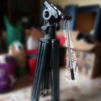 treppiedi manfrotto 504 hd