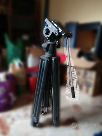 treppiedi manfrotto 504 hd