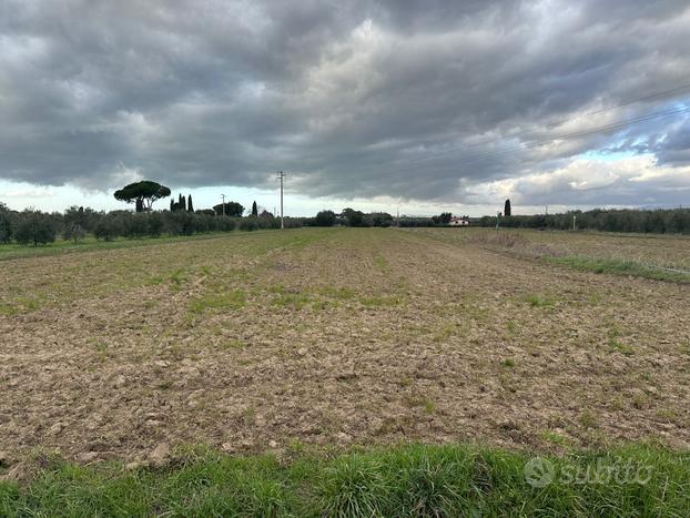 Bibbona- Terreno per vigneto