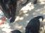 Immagine 4