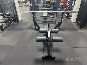 Paca declinata TECHNOGYM