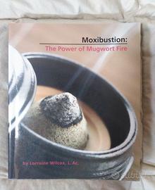 Moxibustion: the power of mugwort fire - L. Wilcox