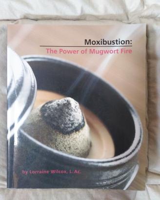 Moxibustion: the power of mugwort fire - L. Wilcox