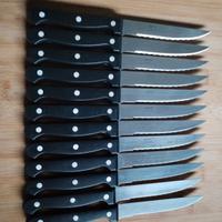 12 coltelli da carne