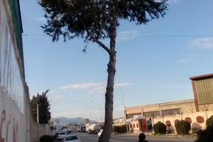 Vendita terreno con capannone in ferro