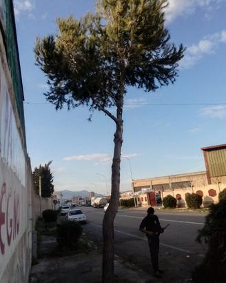 Vendita terreno con capannone in ferro