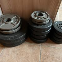 Dischi bumper palestra