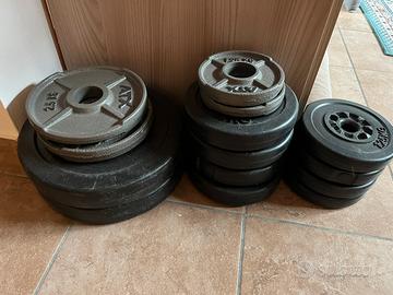 Dischi bumper palestra