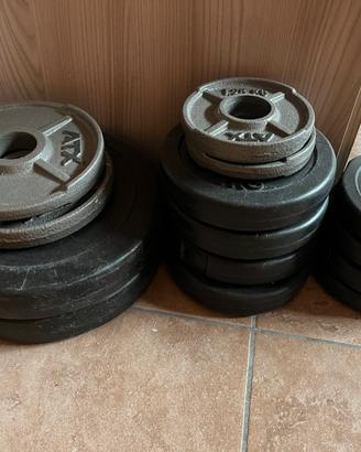 Dischi bumper palestra