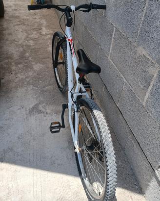 bici mtb 