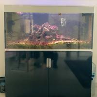 ACUARIO EHEIM INCPIRIA MARINE 400 NERO + MOBILE