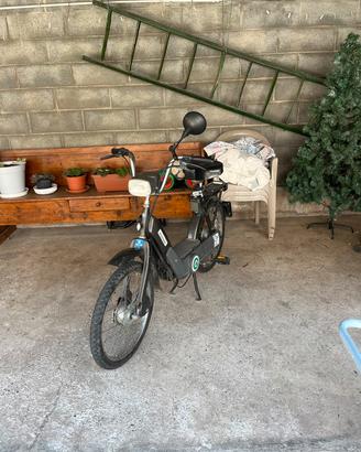 Piaggio-PX Ciao