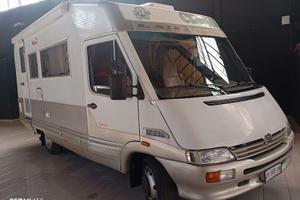 LAIKA ECO VIP 4 FRECCIA D'ORO GEMMELLATO  1999