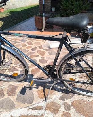 bicicletta bianchi