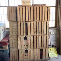 Cassette di legno e plastica