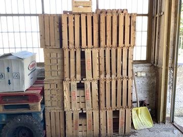 Cassette di legno e plastica