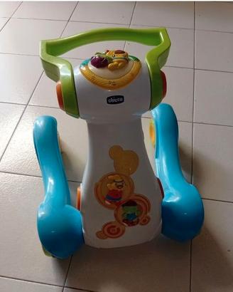 Primi passi chicco
