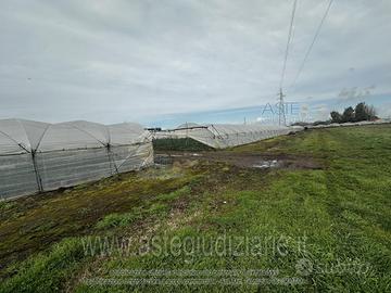 Terreno Agricolo San Cipriano d'Aversa [A4359067]