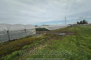 Terreno Agricolo San Cipriano d'Aversa [A4359067]