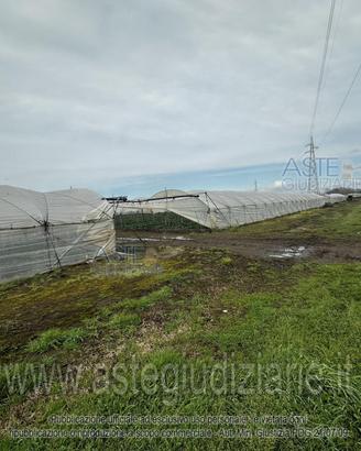 Terreno Agricolo San Cipriano d'Aversa [A4359067]