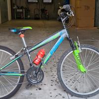 mountin bike bambino 