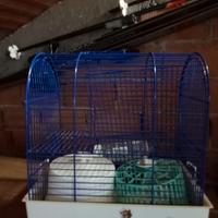 gabbia per criceto