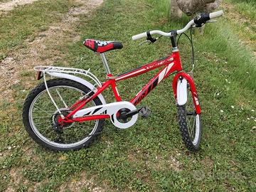 bici 20 pollici