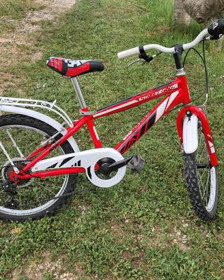 bici 20 pollici