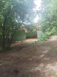 Noccioleto con grande capannone