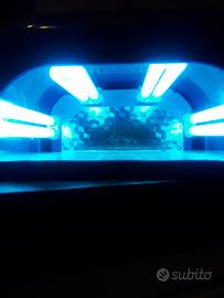 Lampada UV
