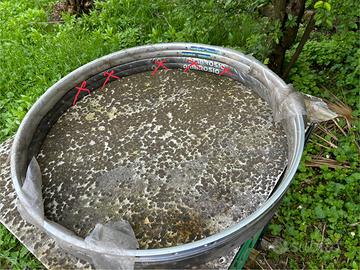 Coppia cerchi bicicletta da corsa Ambrosio