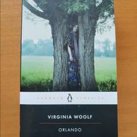 Libri "Orlando" e "Oroonoko and Other Writings"