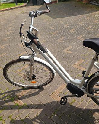 bicicletta