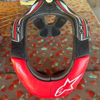 ALPINESTARS  BNS Tech Carbon Neck Brace