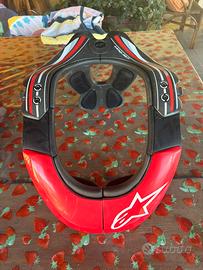 ALPINESTARS  BNS Tech Carbon Neck Brace