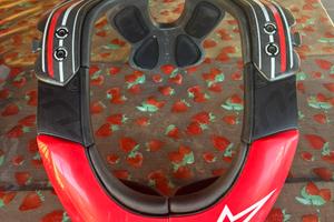 ALPINESTARS  BNS Tech Carbon Neck Brace