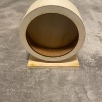 ruota per roditori