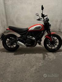 Ducati Scrambler 800 icon
