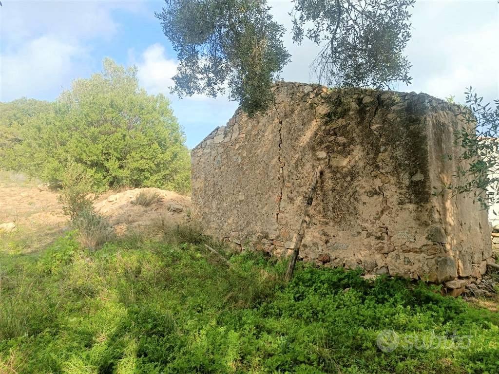 Terreno di 12000 m² a Monti - Vista 5