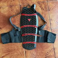 Paraschiena da Moto Dainese