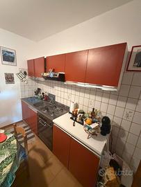 Cucina lineare Ariston 2,55 m ritiro a carico