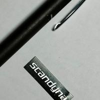 Logo Scandyna originale 