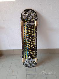 Skateboard Professional