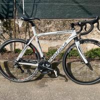 Bdc Fontana full carbon Taglia M